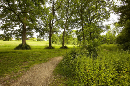 Image d'illustration pour : Promenade du val d'Ornay