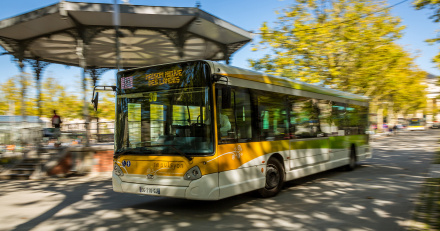 Image d'illustration pour : arrêts de bus