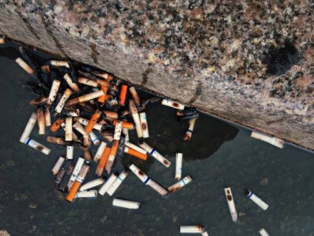 Image d'illustration pour : Les mégots de cigarettes, on les valorise au lieu de les jeter et de polluer